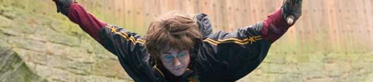 harry harry