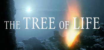 treeoflifethe-glowspacerocks-tsr1